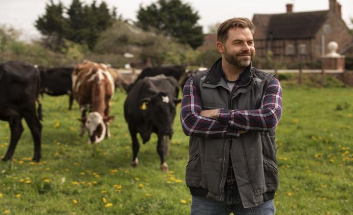 Cattle Investment